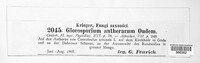 Thecaphora capsularum image